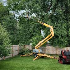 Best Palm Tree Trimming  in Old Westbury, NY